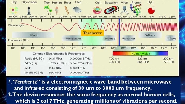 Terahertz Sverige
